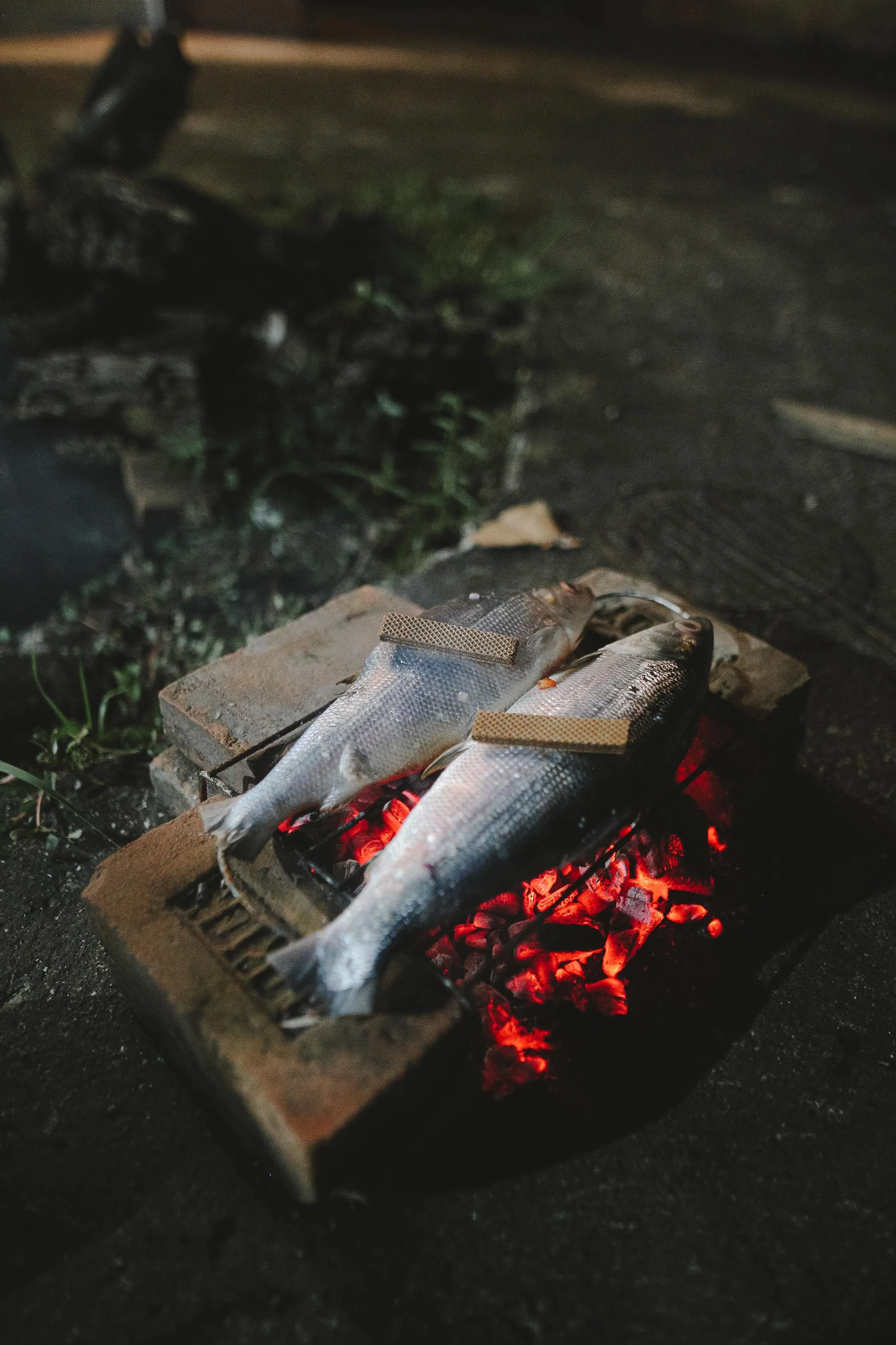 Pescado fresco de la lonja de Bermeo asándose entero sobre las brasas