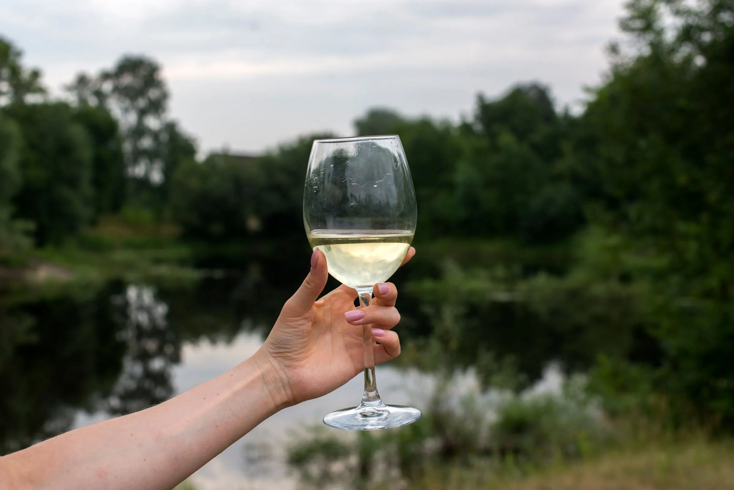 Copa de txakoli en alto con la ría de Urdaibai desenfocada al fondo